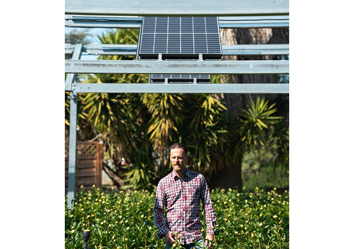 Foto Iberdrola selecciona cuatro proyectos internacionales para impulsar la convivencia de la agricultura y la ganadería con el desarrollo de plantas fotovoltaicas.